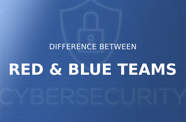What’s the difference between the red and blue teams?